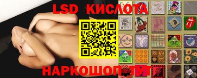 гидра Славгород