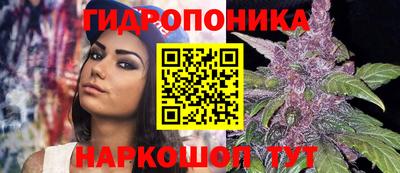 стафф Сланцы