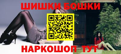 гидра Славгород