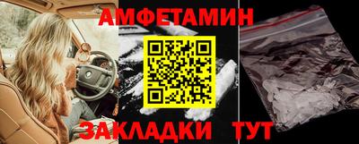 гидра Славгород